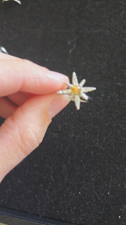 Golden rutile adjustable spinning ring
