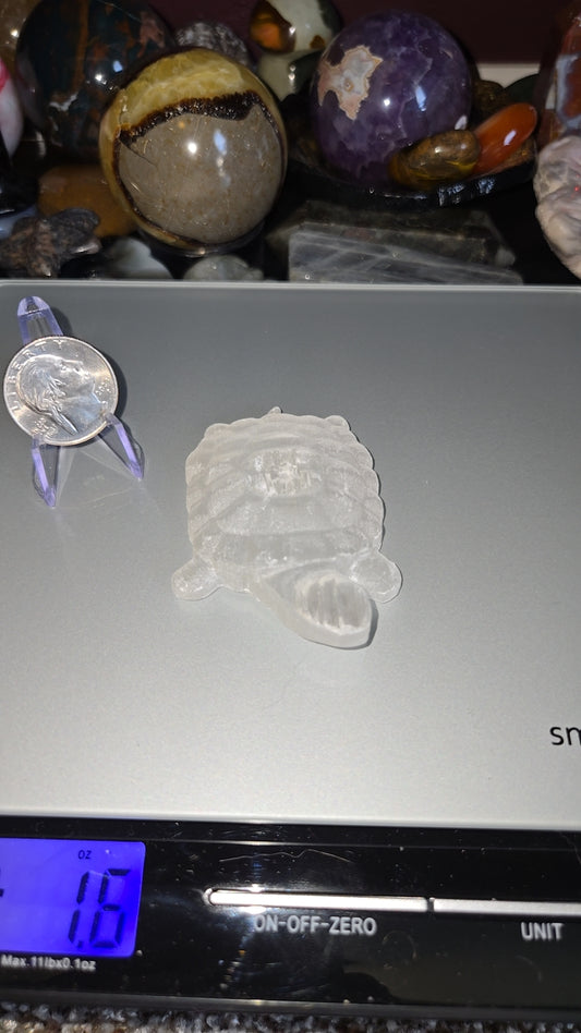 Selenite Turtle